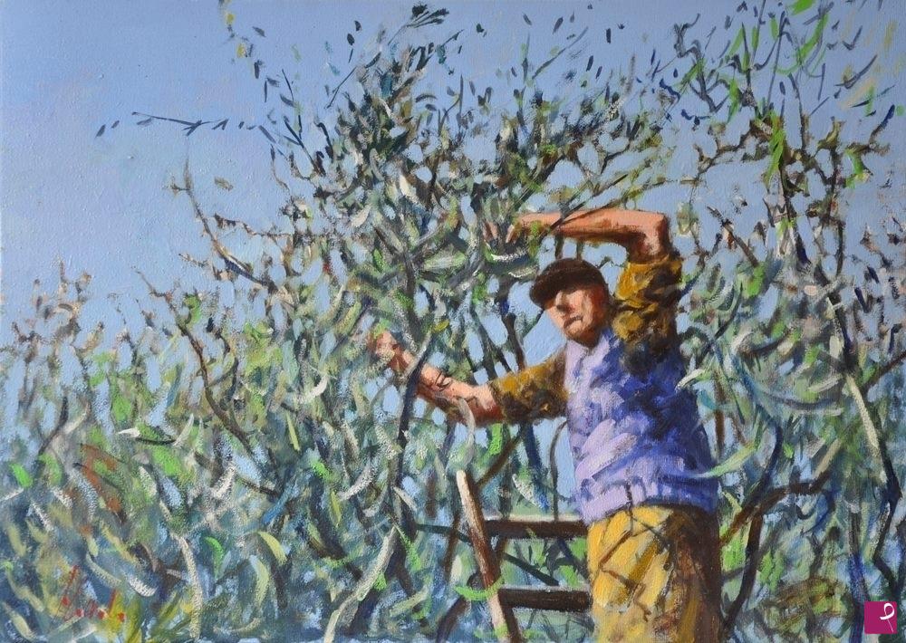 quadri in vendita online - Raccoglitore di ulivi