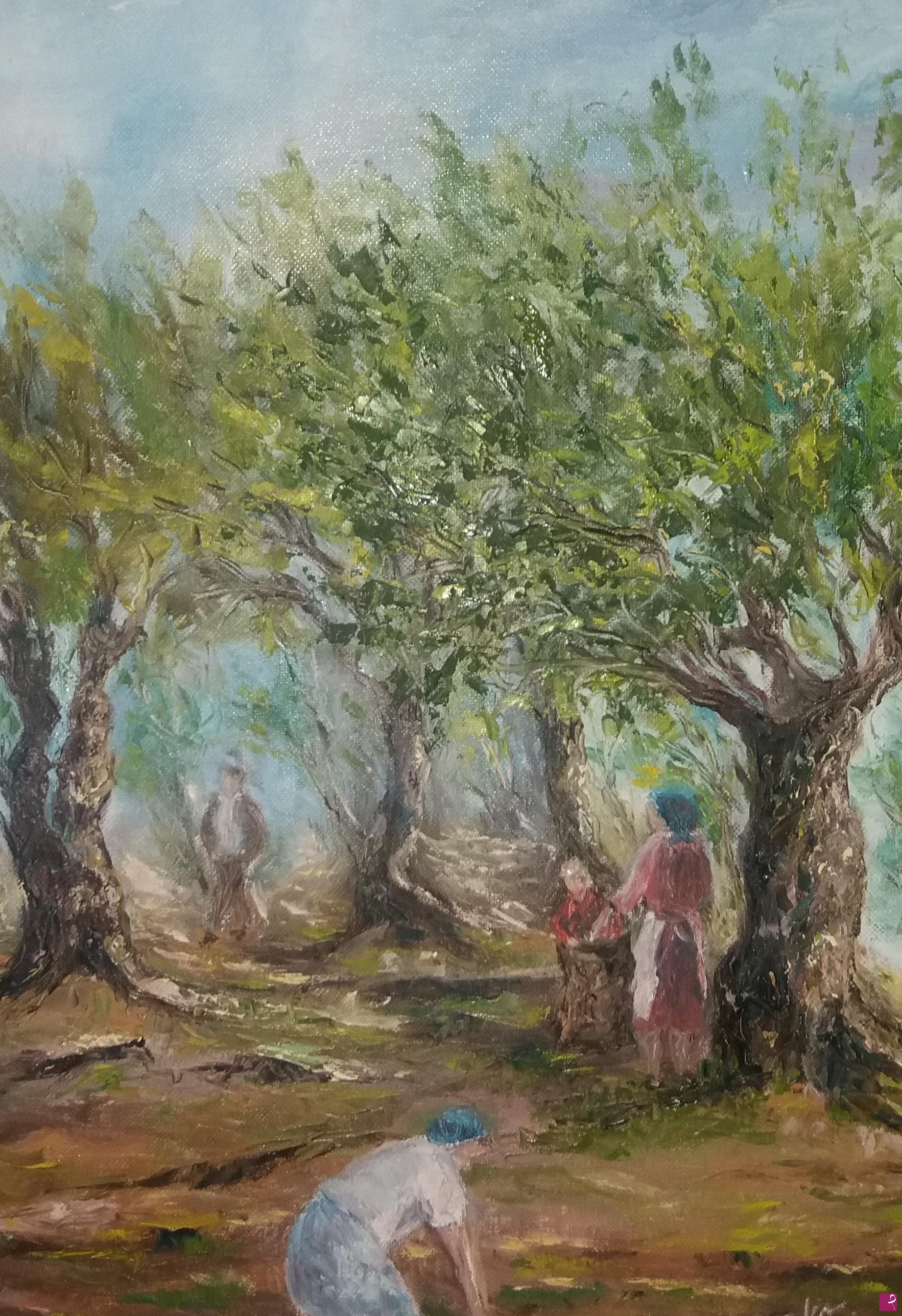 quadri in vendita online - Raccolta delle olive a Serracapriola
