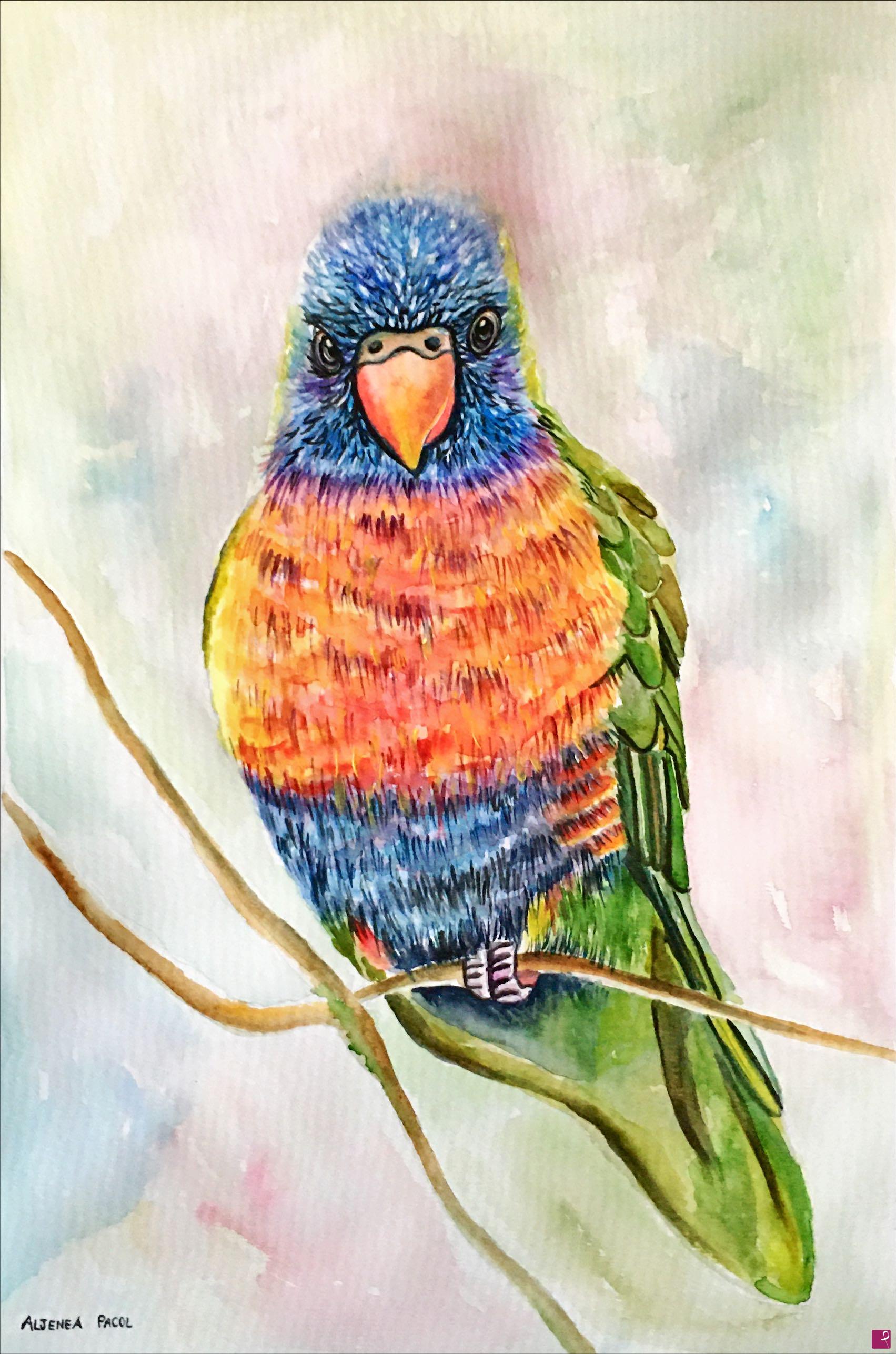 quadri in vendita online - Rainbow Lorikeet