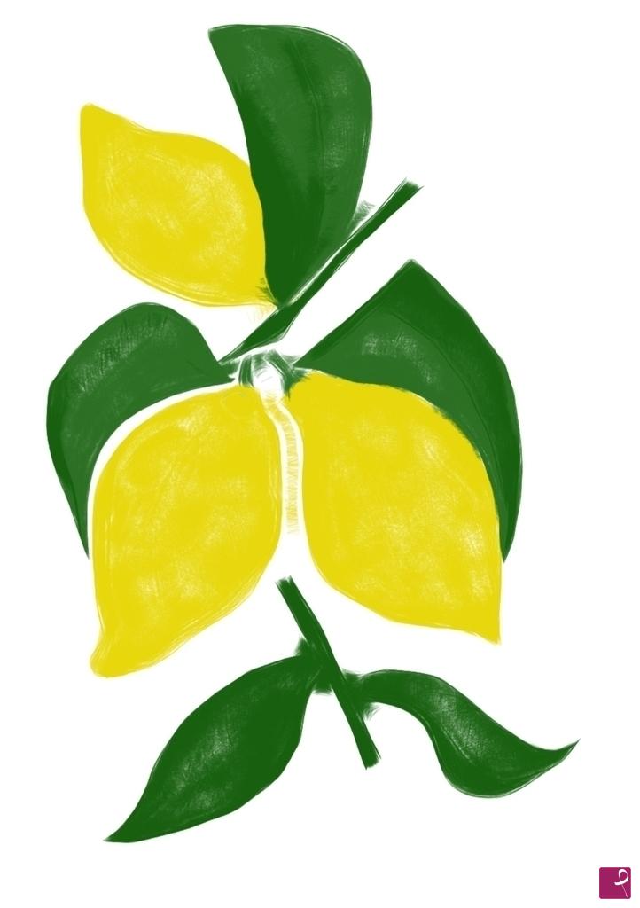 quadri in vendita online - Ramo di Limoni 