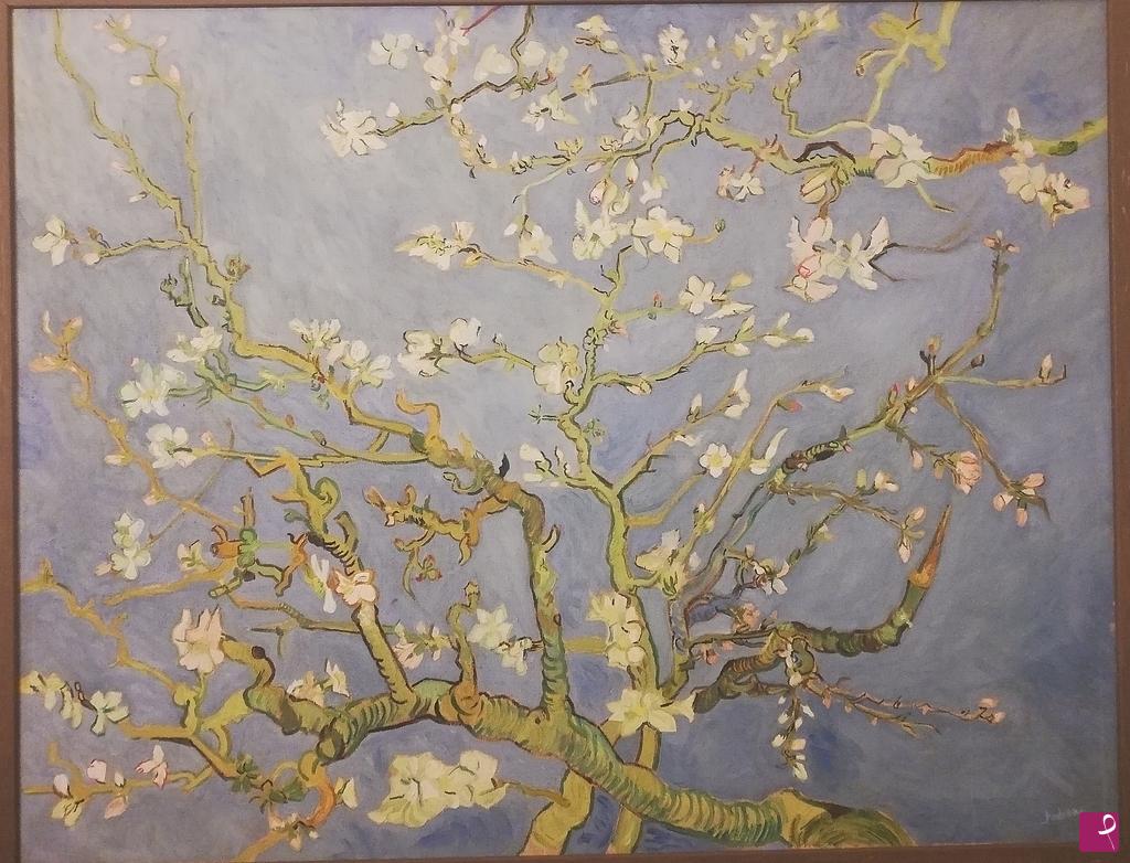 quadri in vendita online - Ramo di mandorlo in fiore 