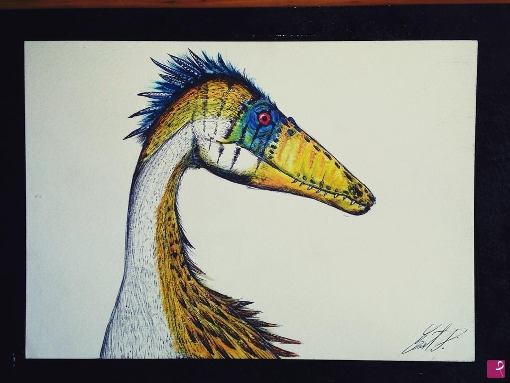 quadri in vendita online - Raptor