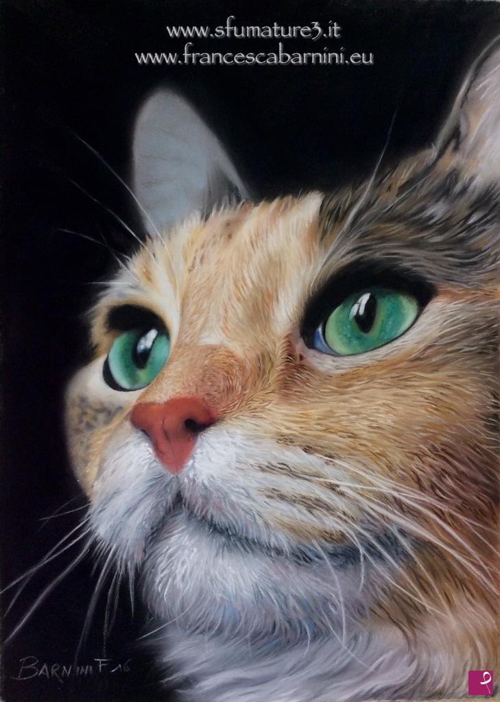 quadri in vendita online - "Red Cat"