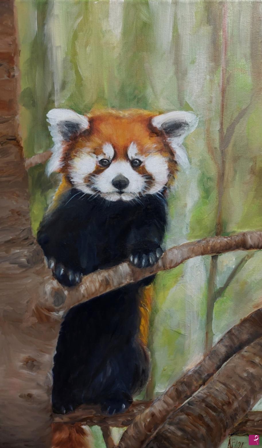 quadri in vendita online - Red panda