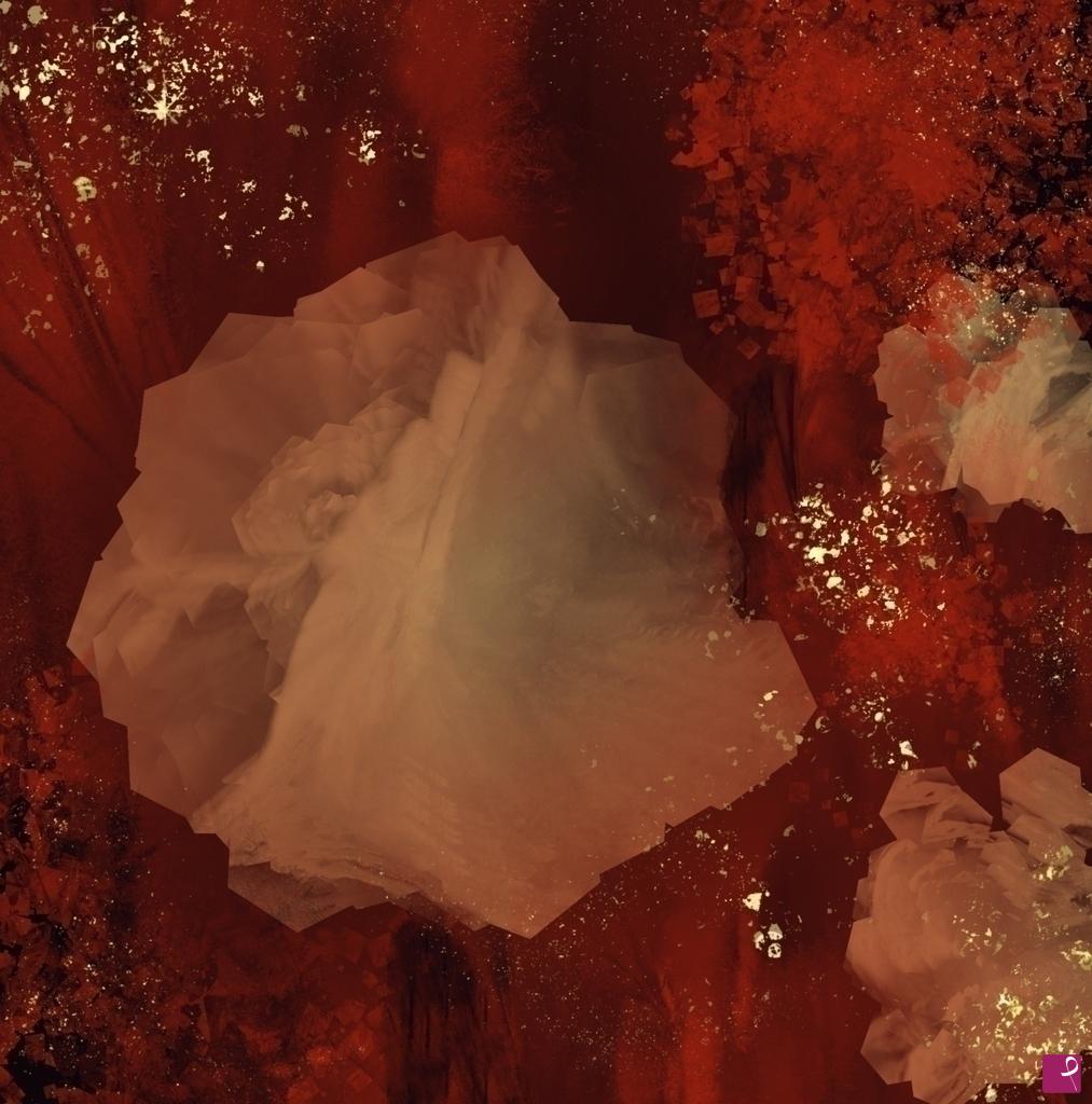 quadri in vendita online - Red passion