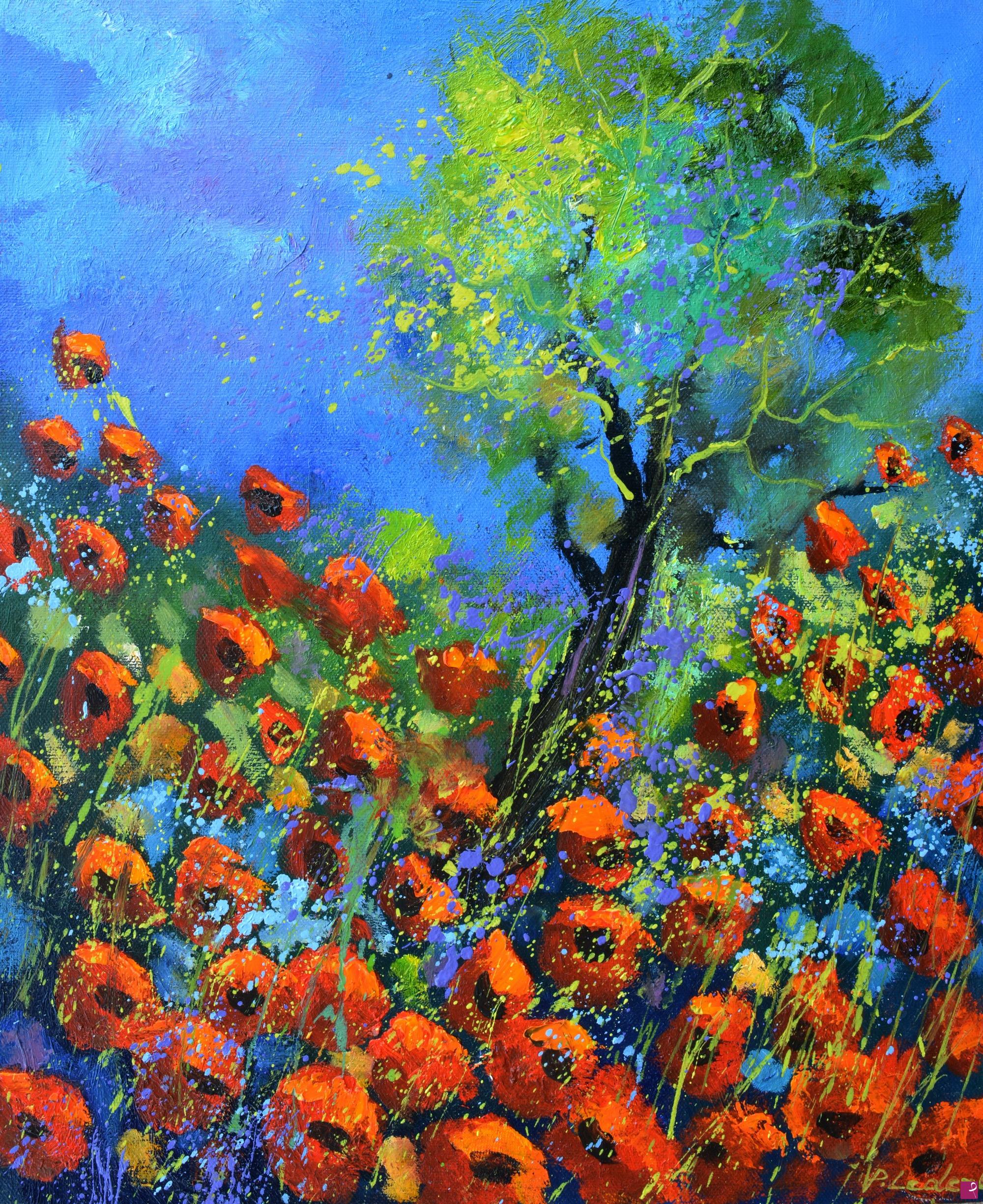 quadri in vendita online - Red poppies 56