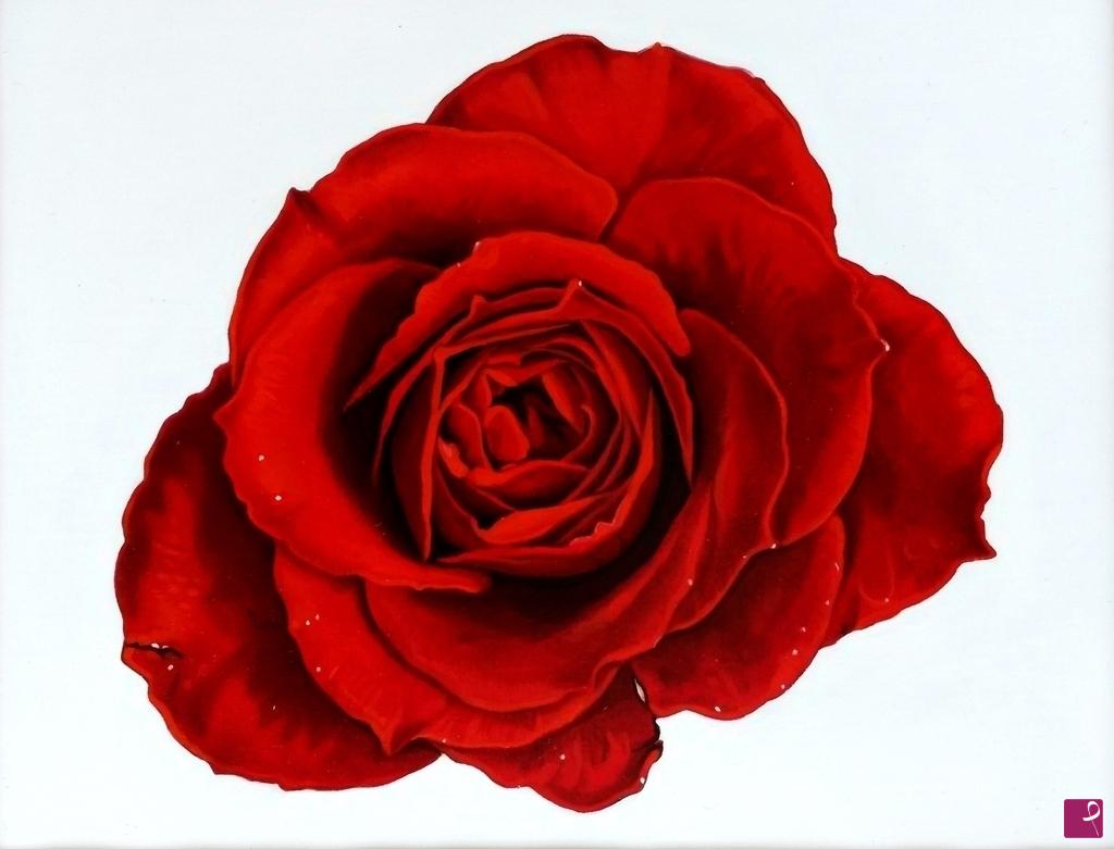 quadri in vendita online - "RED ROSE II"