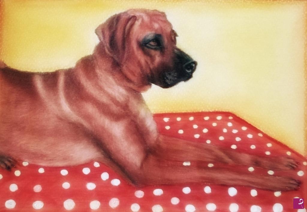 quadri in vendita online - Rhodesian in relax