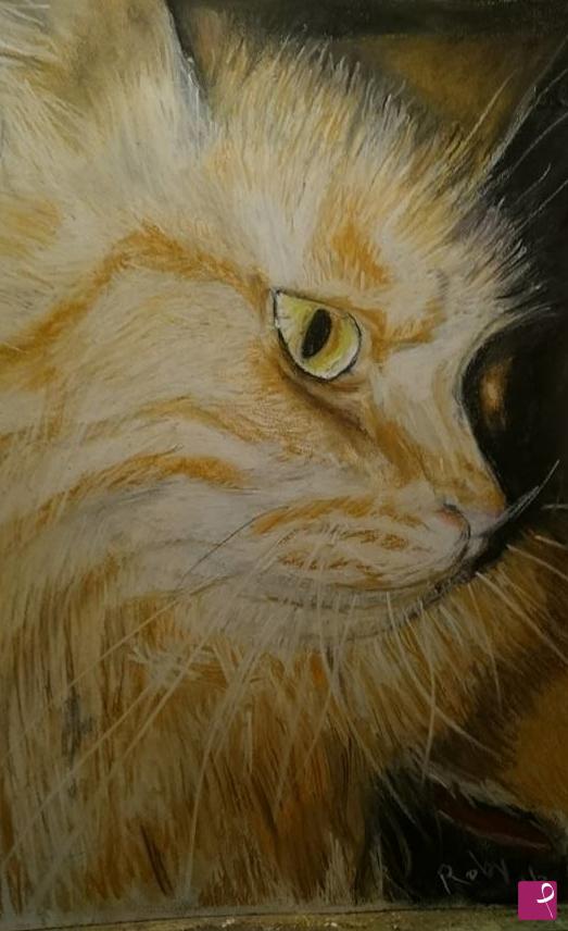 quadri in vendita online - ritratto a un gatto "Minni"