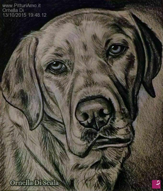 quadri in vendita online - Ritratto cane Labrador retriver