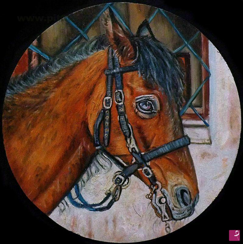 quadri in vendita online - ritratto cavallo  equitazione