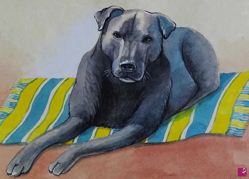 quadri in vendita online - RITRATTO di CANE