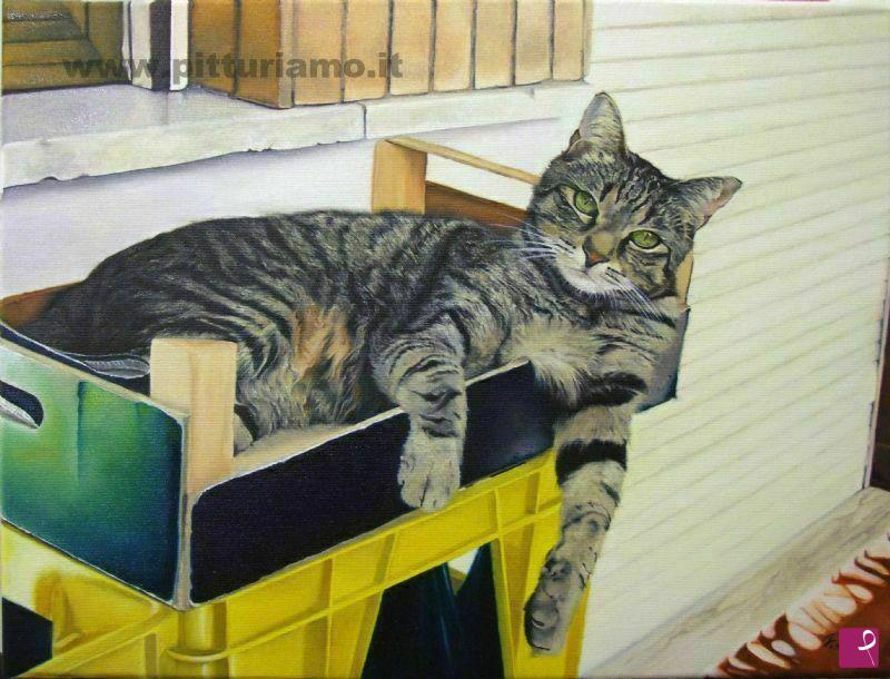 quadri in vendita online - Ritratto di gatto in cassetta
