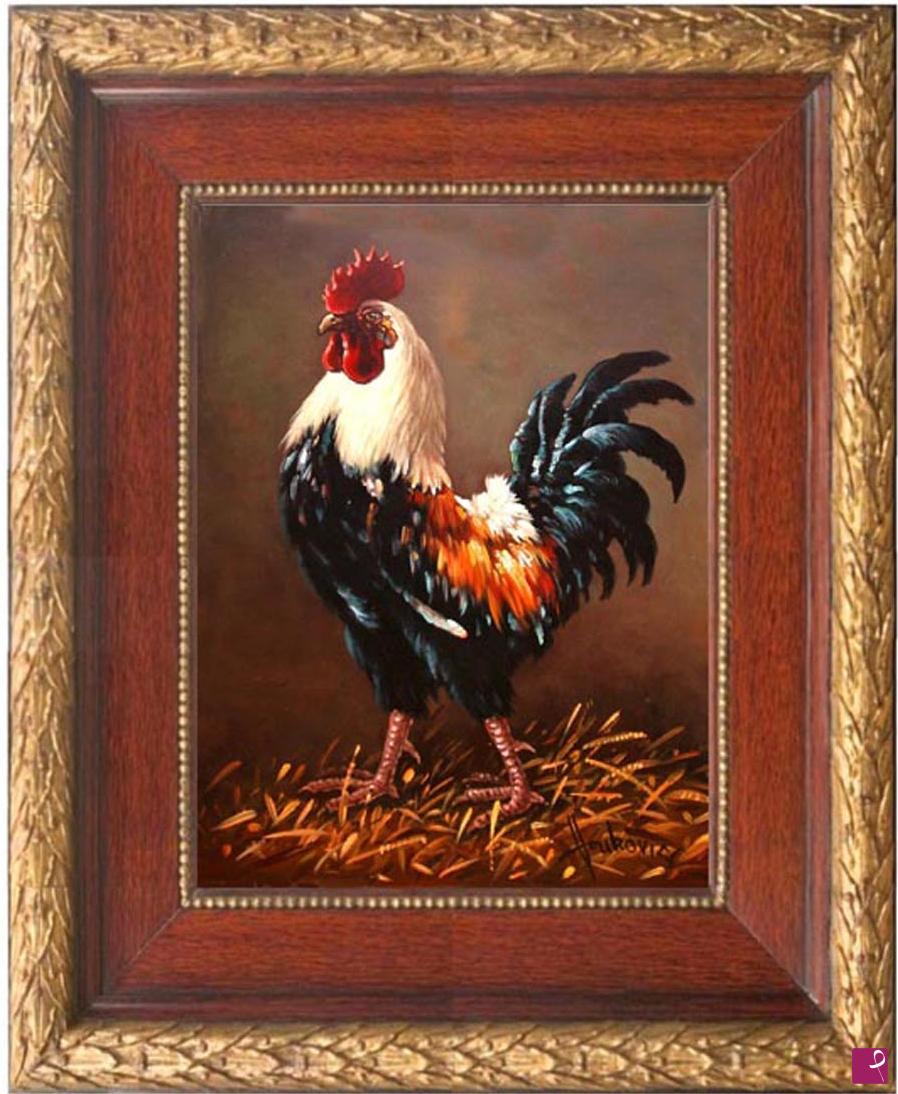 quadri in vendita online - Rooster - the master of the yard