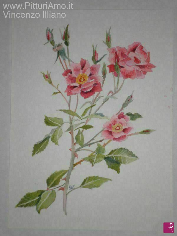 quadri in vendita online - ROSA 1