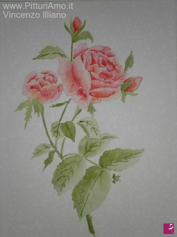 quadri in vendita online - ROSA 3