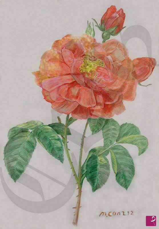 quadri in vendita online - Rosa