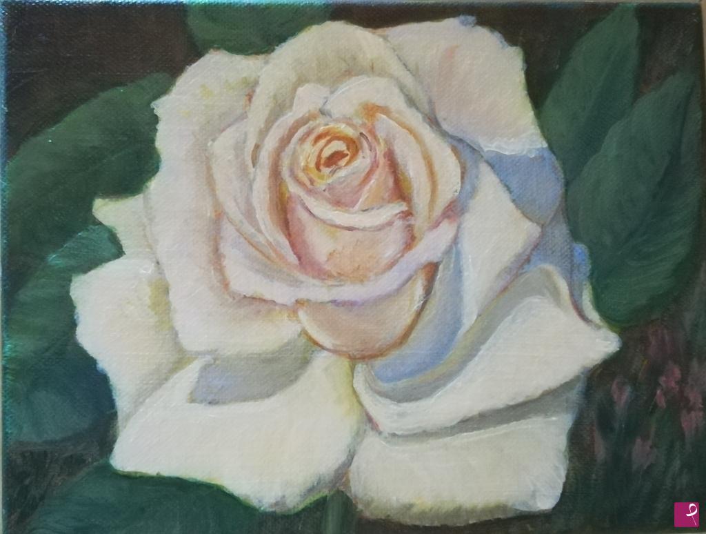 quadri in vendita online - ROSA BIANCA