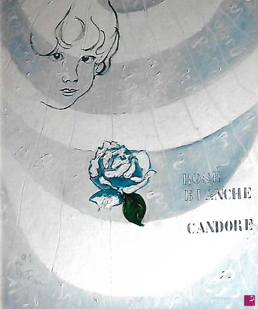 quadri in vendita online - Rosa bianca (candore)