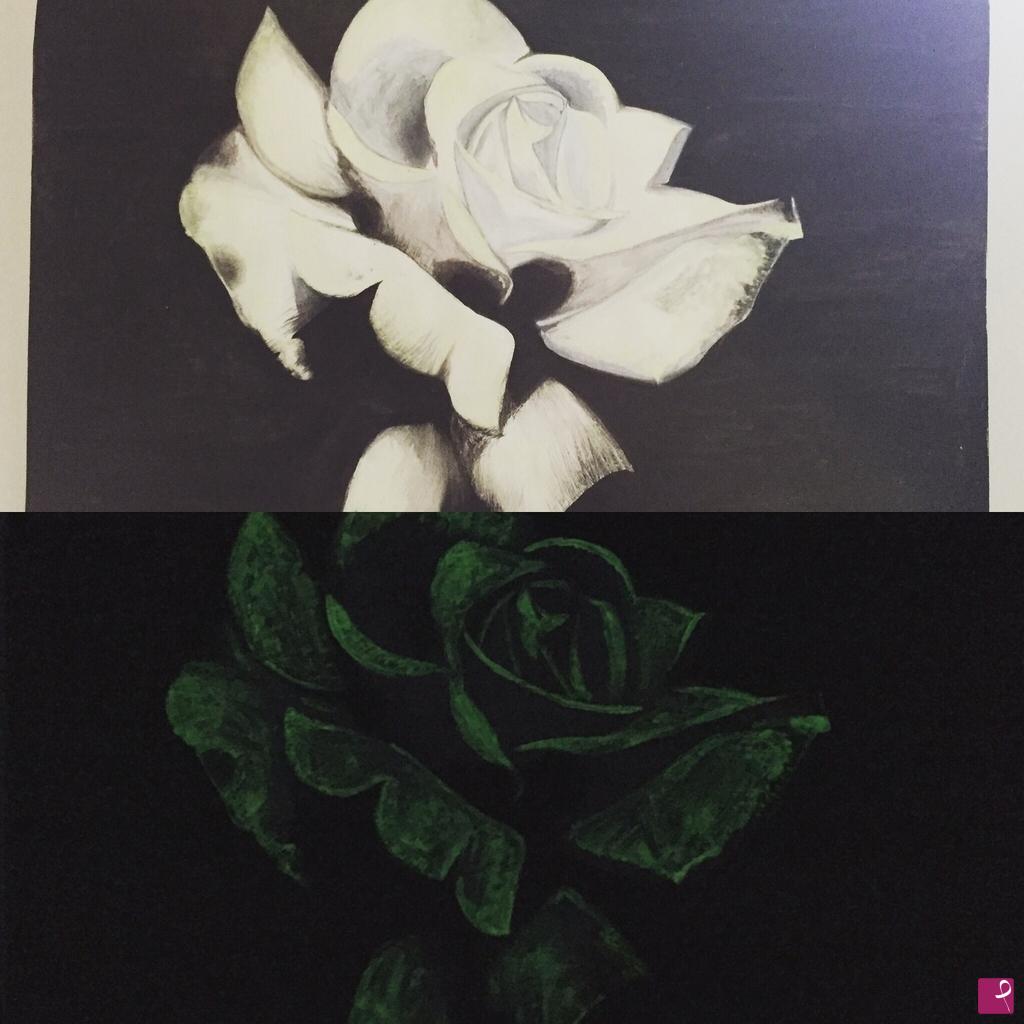 quadri in vendita online - Rosa Bianca Fosforescente 