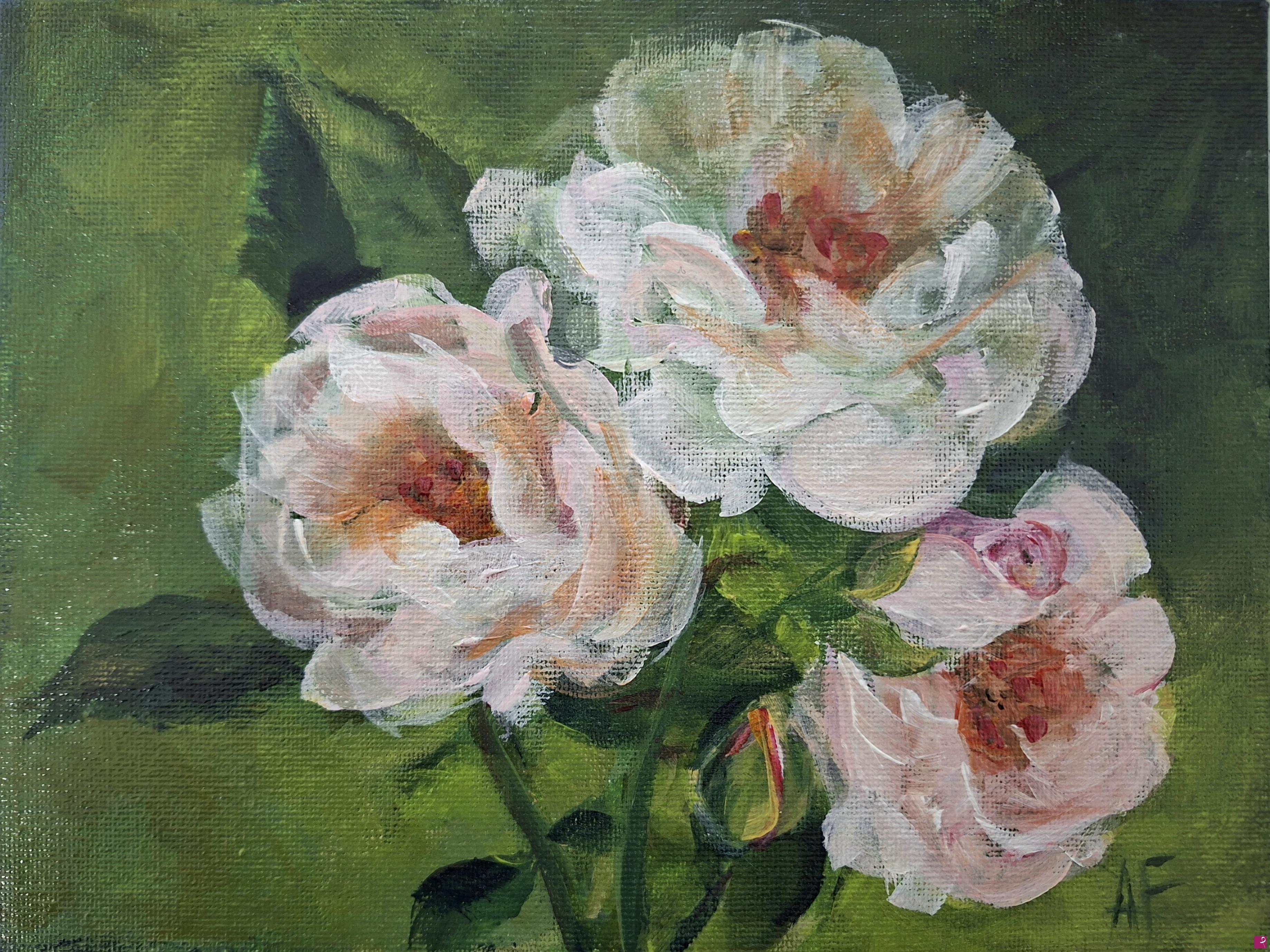 quadri in vendita online - Rosa canina