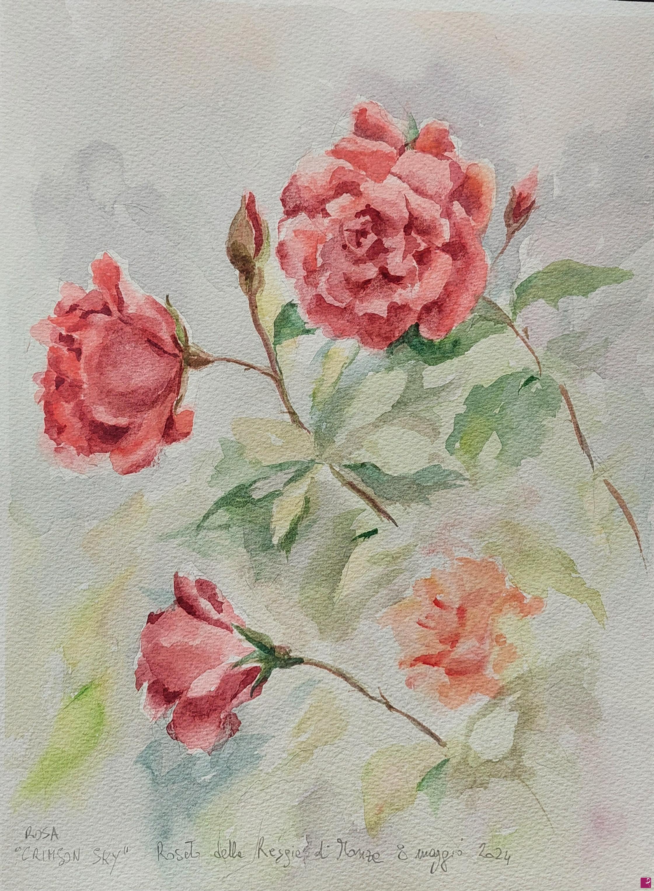 quadri in vendita online - Rosa Crimson Sky del Roseto Niso Fumagalli