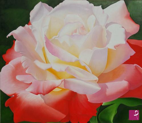 quadri in vendita online - Rosa del mio giardino