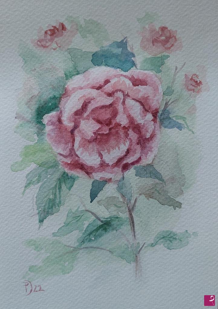 quadri in vendita online - Rosa dell'orto botanico di Brera 