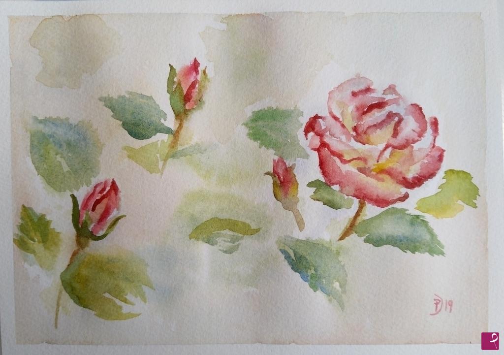 quadri in vendita online - Rosa e boccioli