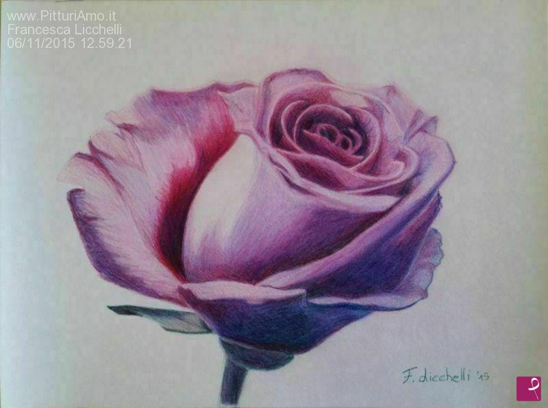 quadri in vendita online - Rosa fondo bianco