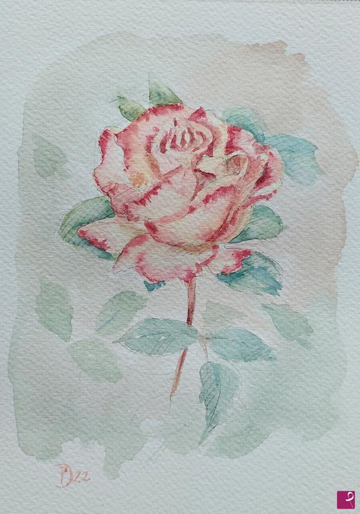 quadri in vendita online - Rosa gialla del Roseto Reale