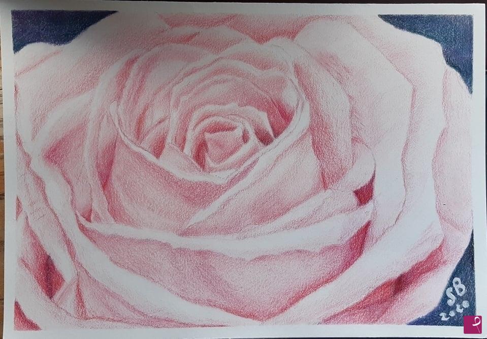 quadri in vendita online - Rosa Notturna