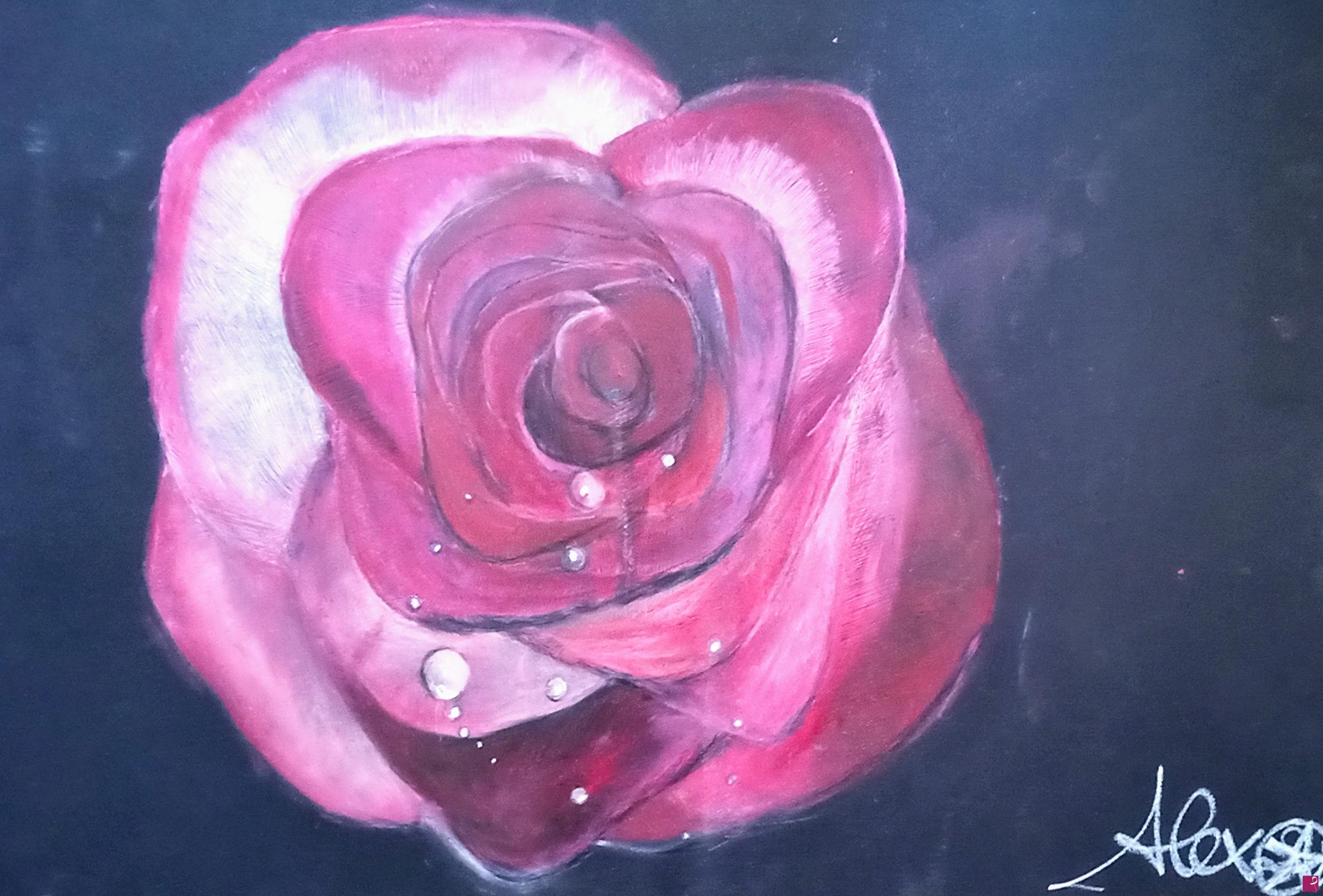 quadri in vendita online - rosa notturna