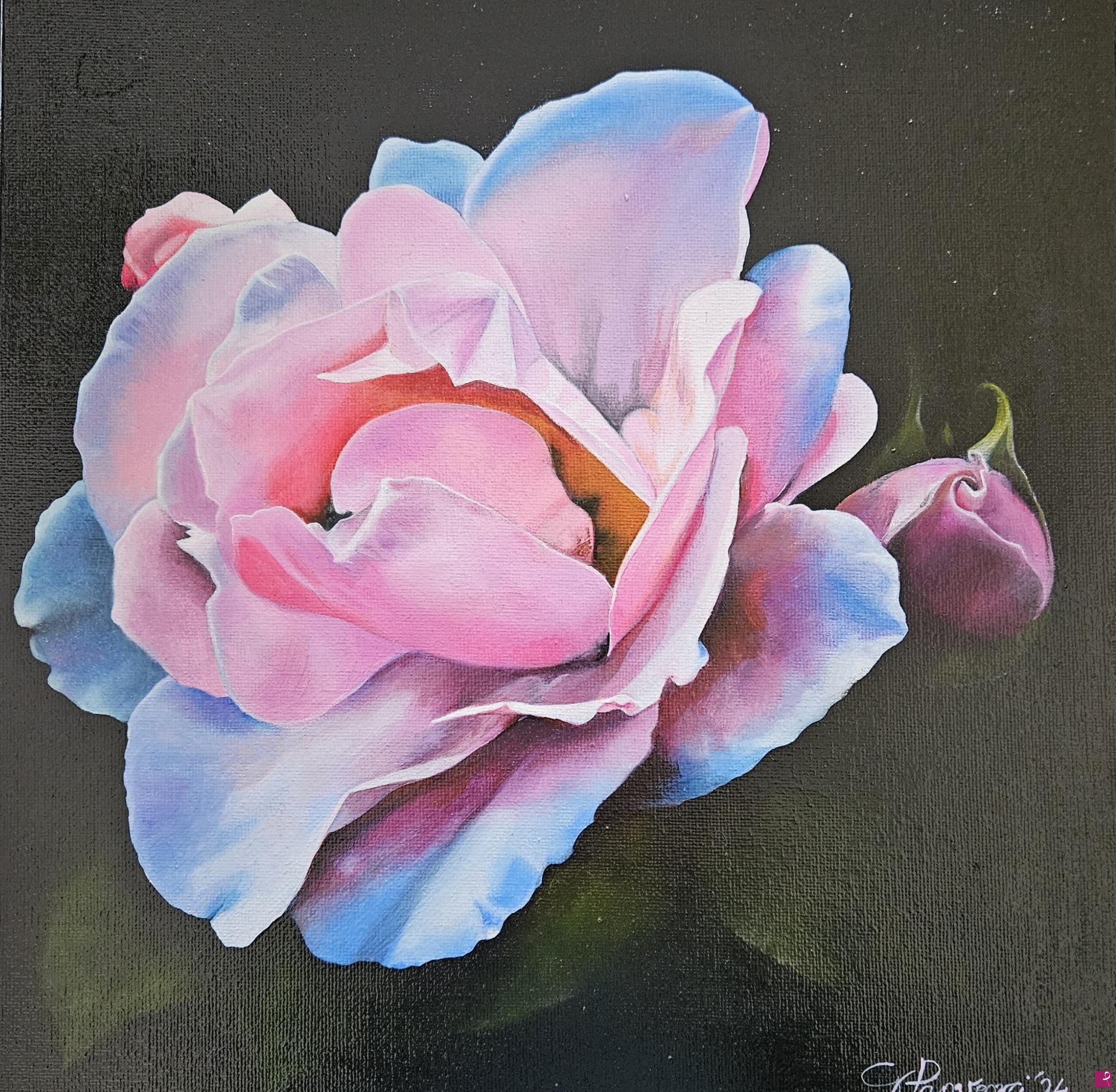 quadri in vendita online - Rosa rosa