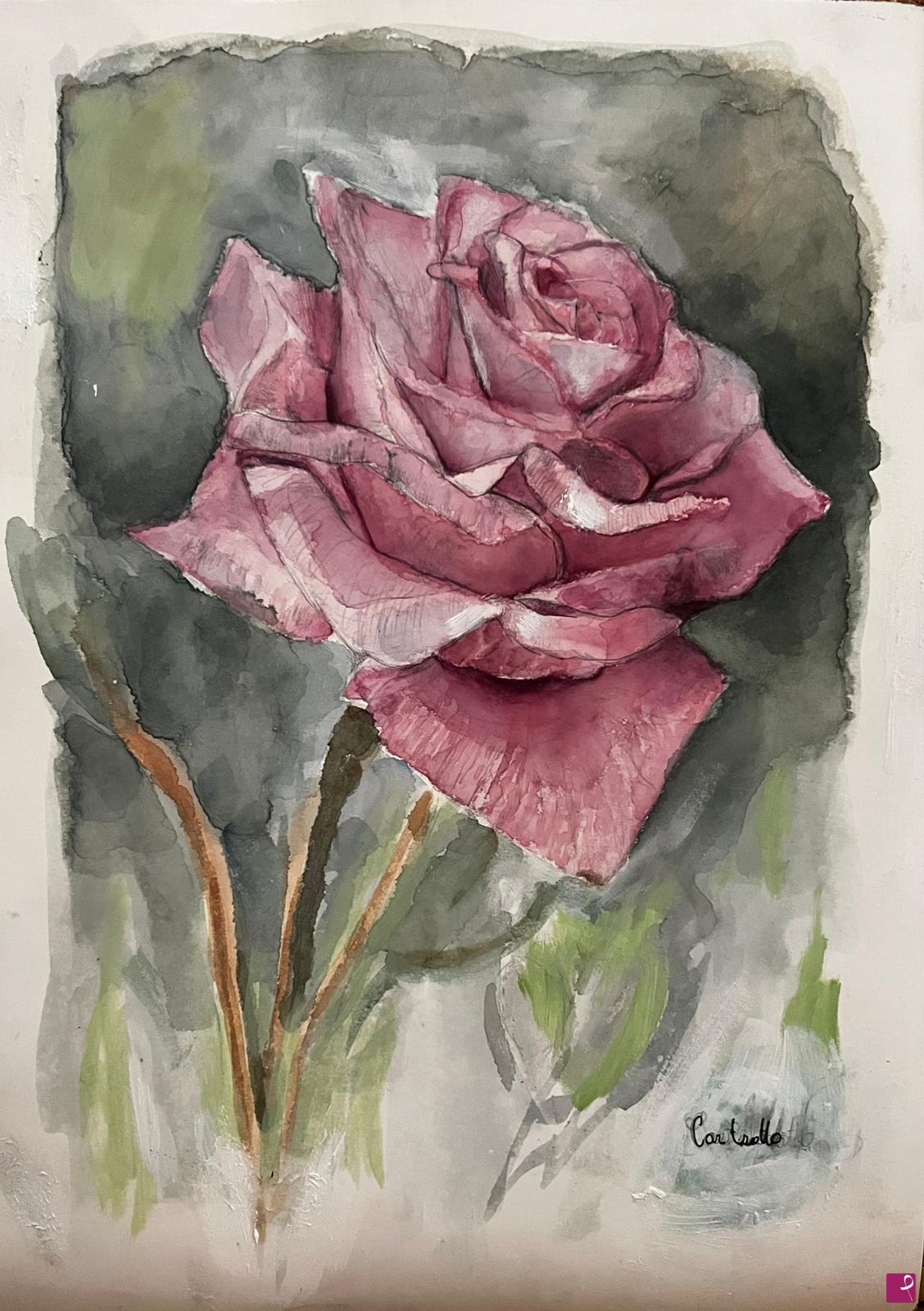 quadri in vendita online - Rosa Rosea
