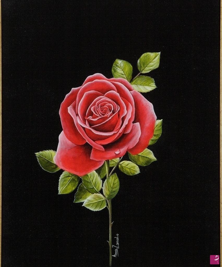 quadri in vendita online - rosa rossa
