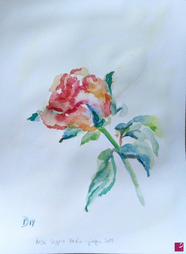 quadri in vendita online - Rosa rossa