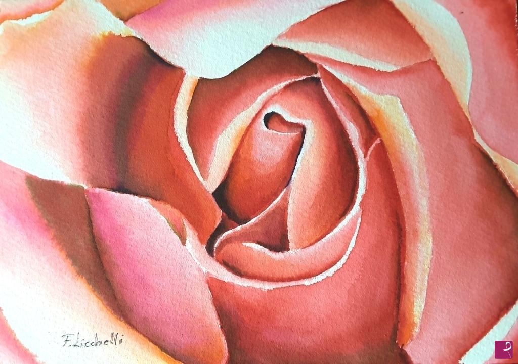 quadri in vendita online - Rosa rossa
