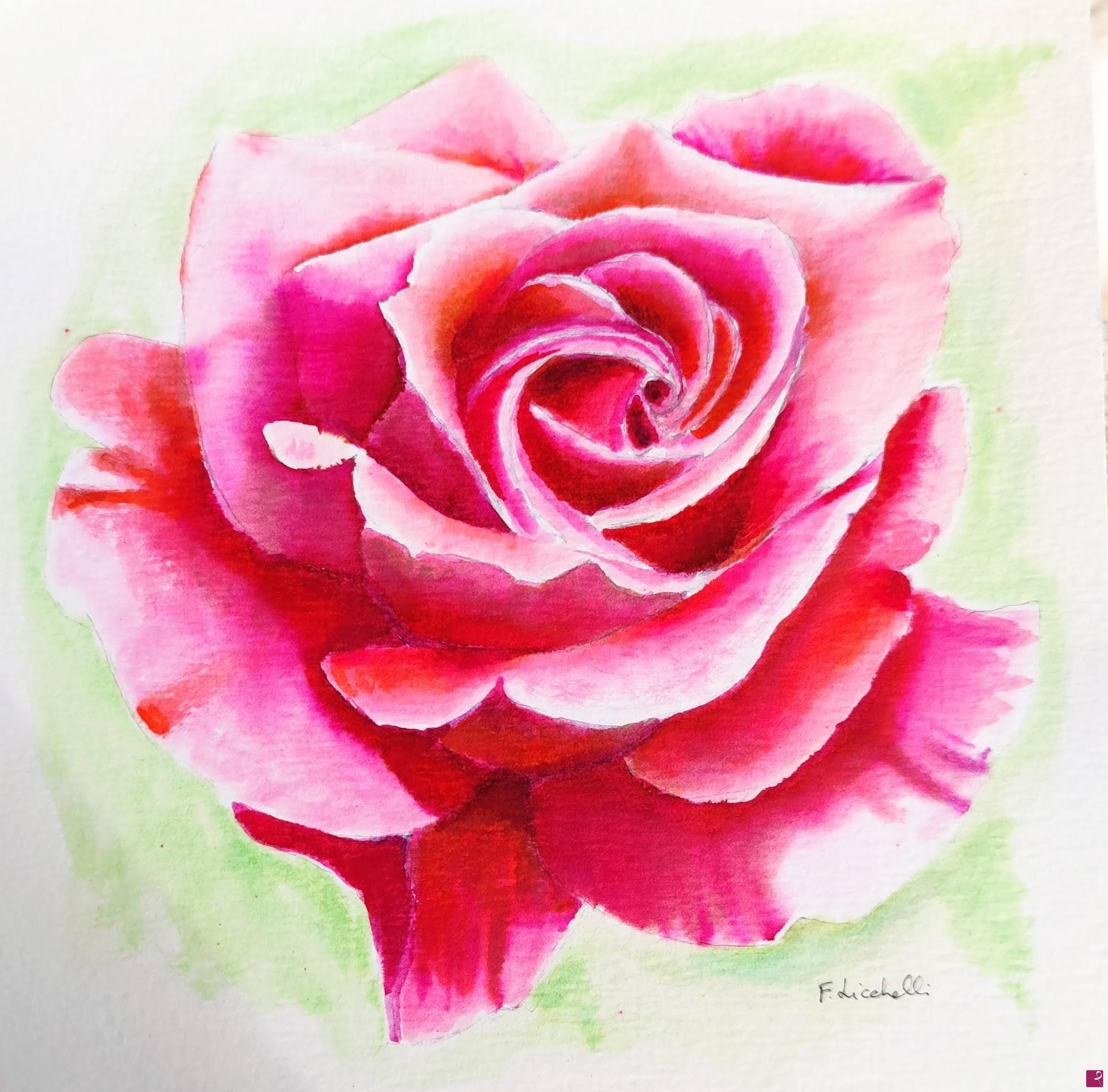 quadri in vendita online - Rosa rossa