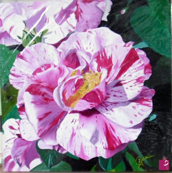 quadri in vendita online - rosa screziata
