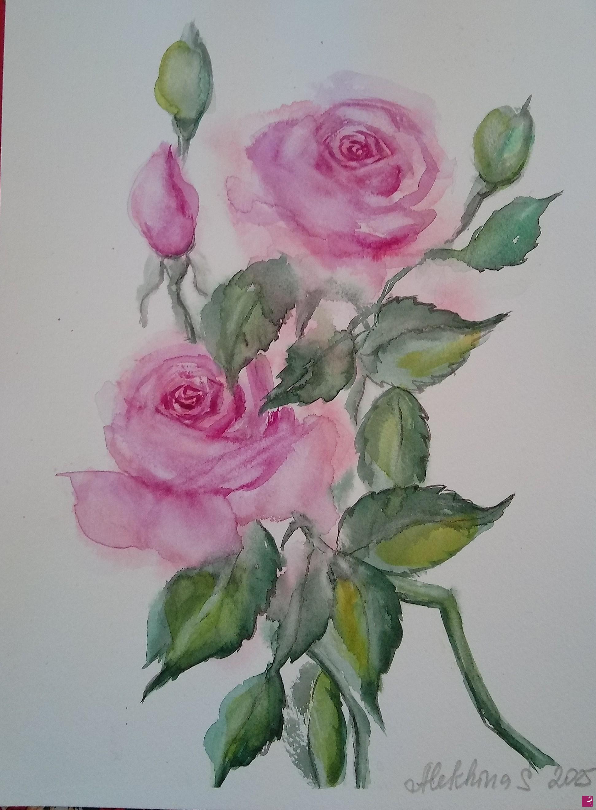 quadri in vendita online - Rose