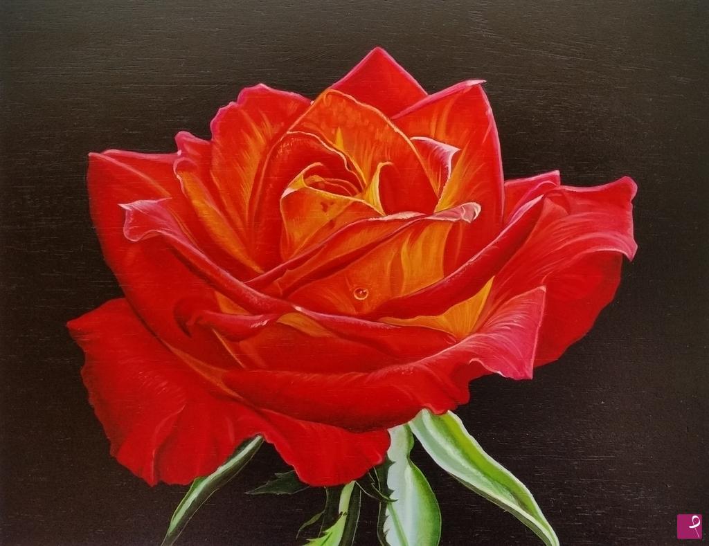 quadri in vendita online - "ROSE I"