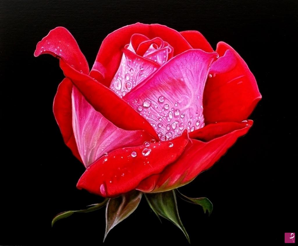 quadri in vendita online - "ROSE II"