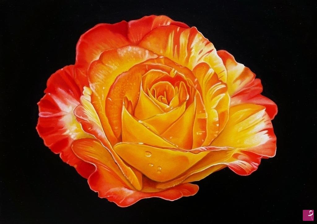 quadri in vendita online - "ROSE III"