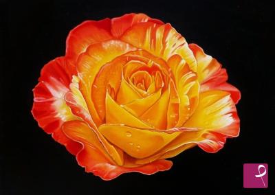 Quadro venduto su PitturiAmo