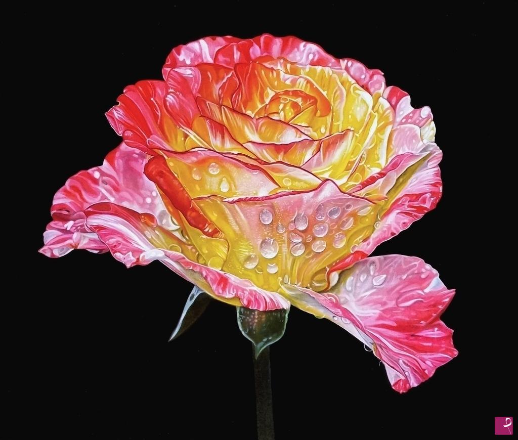 quadri in vendita online - "ROSE IV"