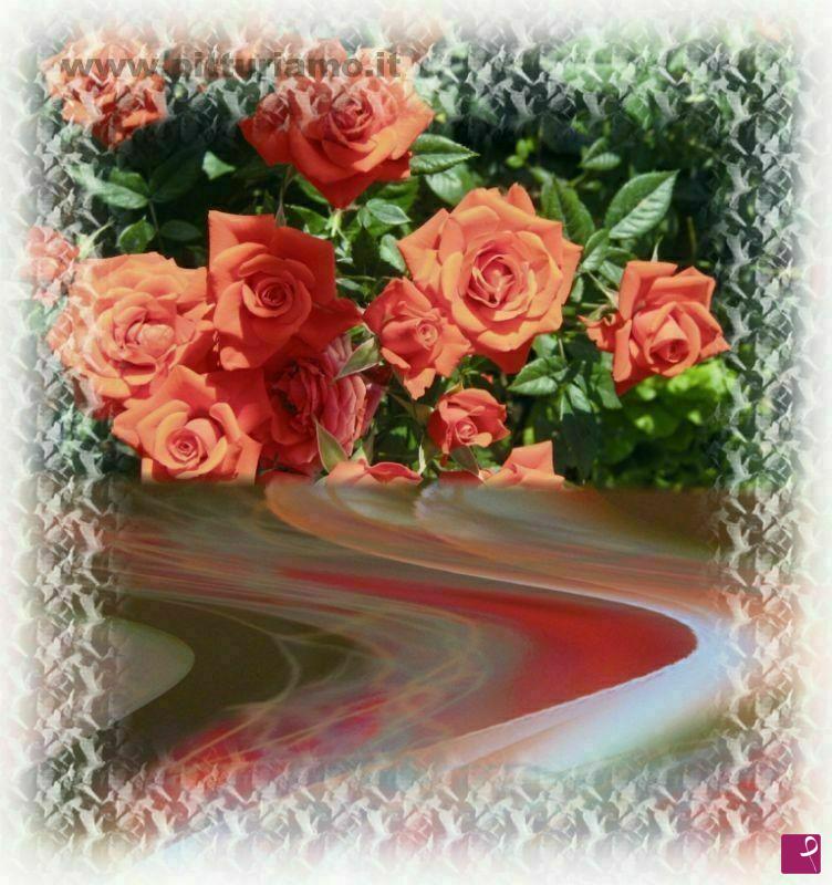 quadri in vendita online - Rose nel Fiume