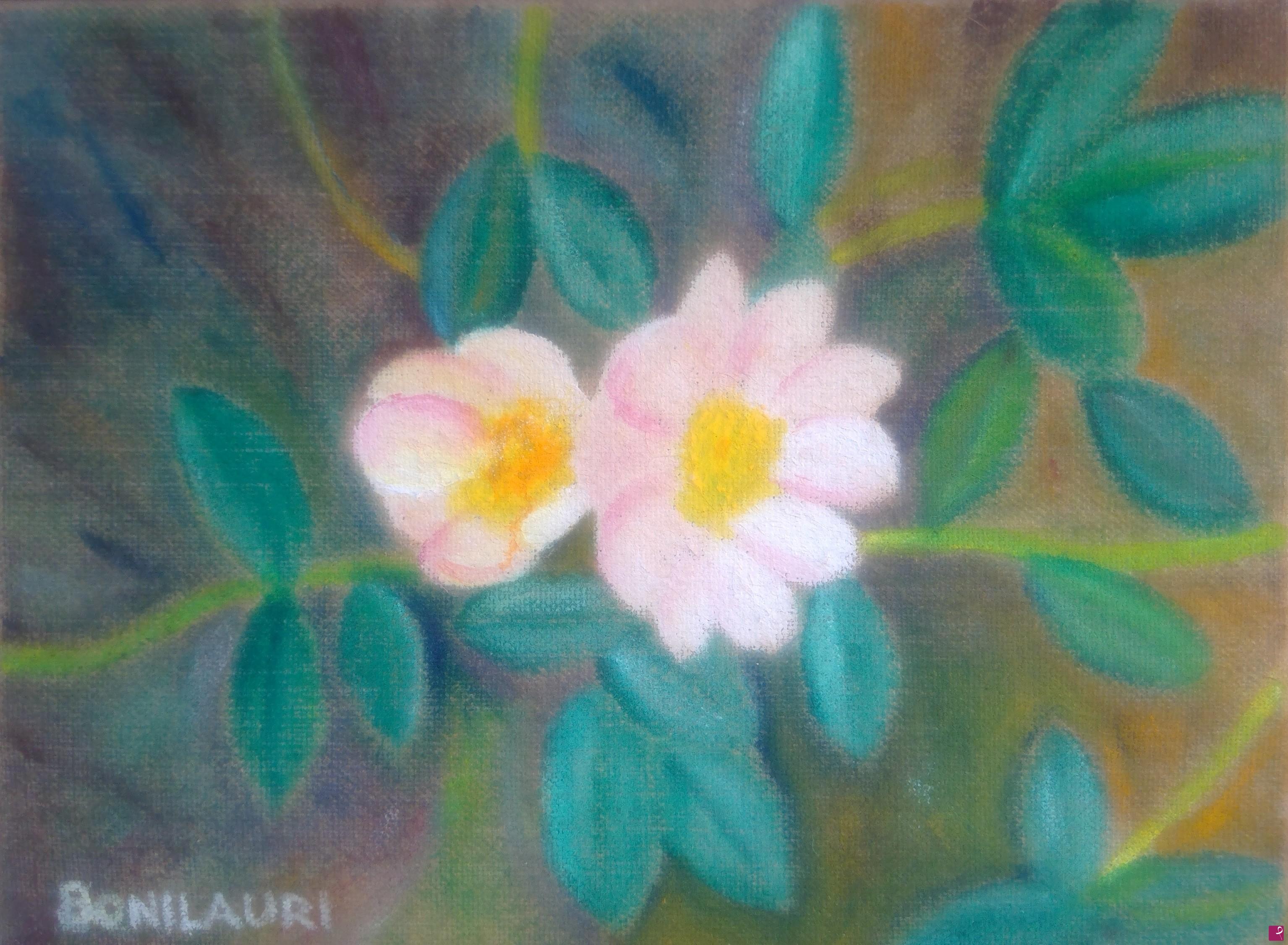 quadri in vendita online - Rose silvestri