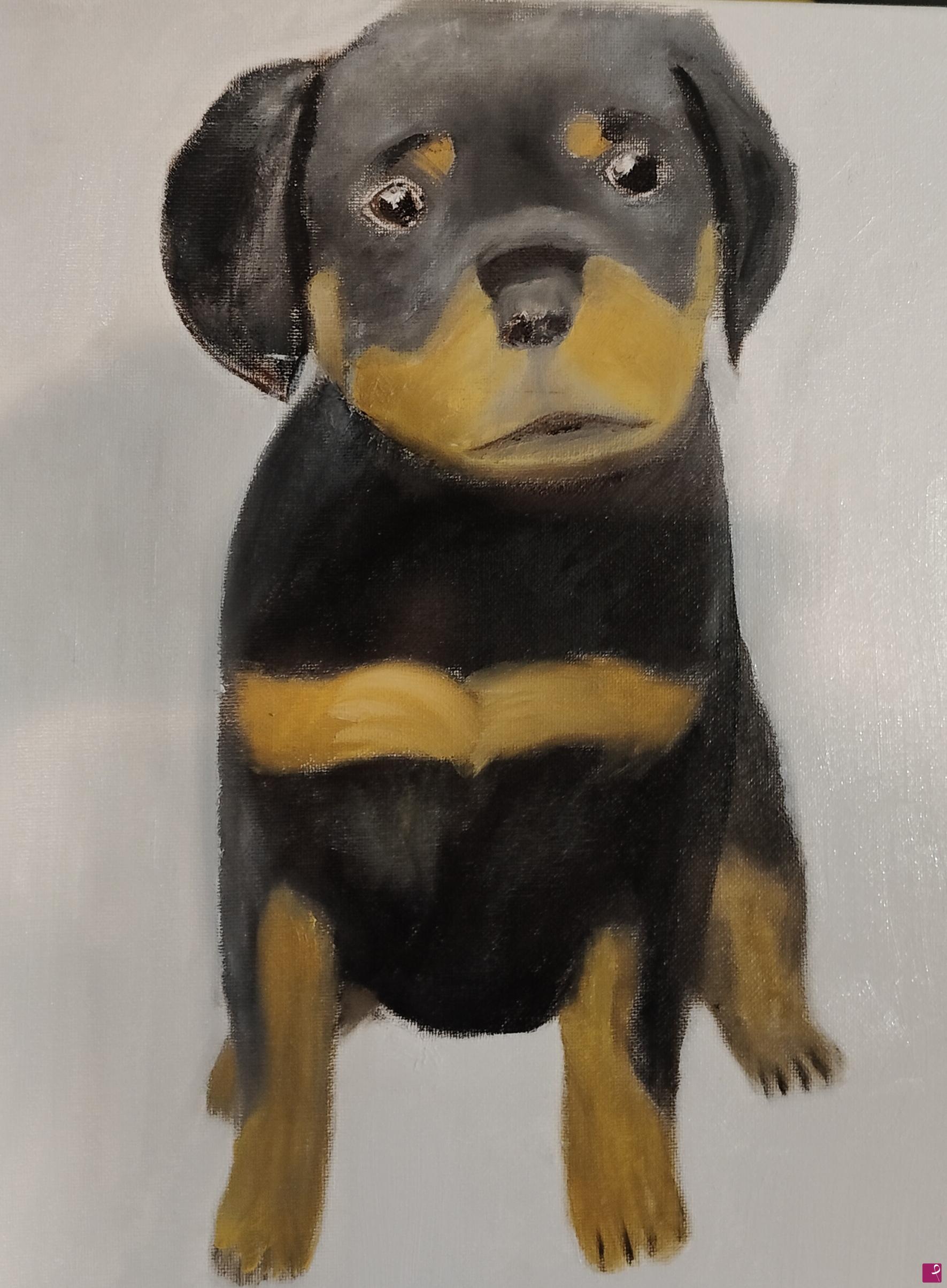 quadri in vendita online - Rottweiler Cucciolo 