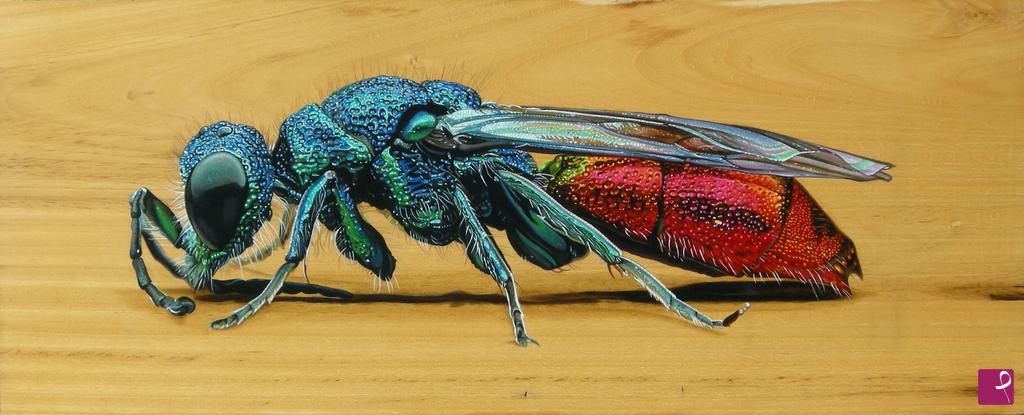 quadri in vendita online - "Ruby Tailed Wasp"